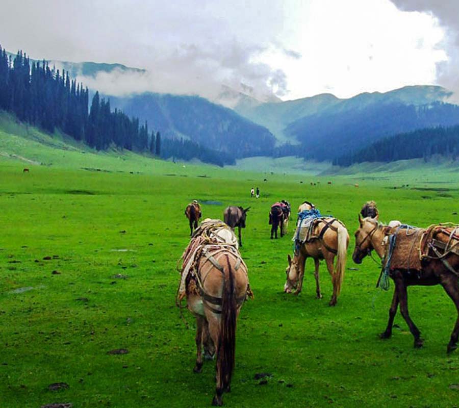 Dao Khan, Noon Bagla