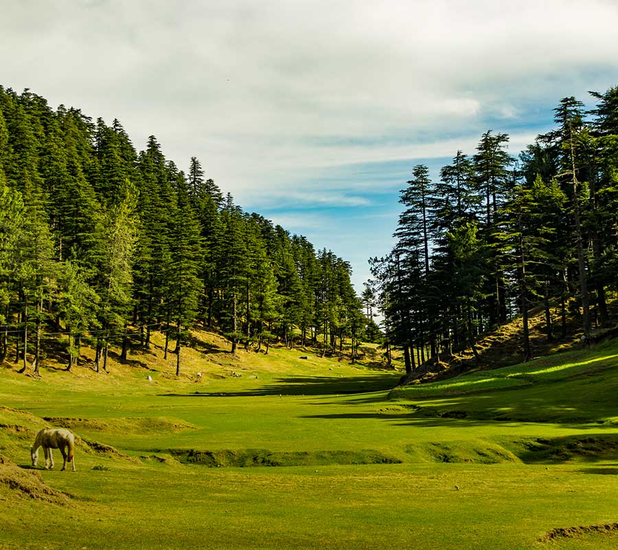 Siri Kot, Muzaffarabad, Noon Bagla